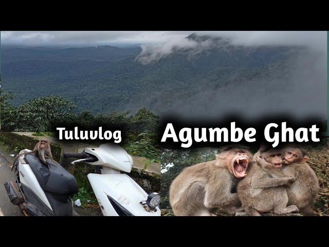 Agumbe Ghat Travel /Agumbe Ghat Rain Time Agumbe Sunset #Agumbeghat #Agumbeghatsunset