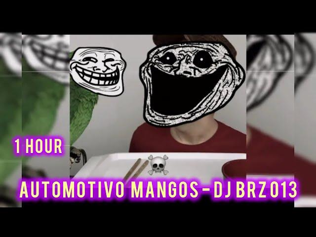 1 HOUR || AUTOMOTIVO MANGOS - DJ BRZ 013 || SUPER SLOWED + REVERB || BRAZILIAN PHONK