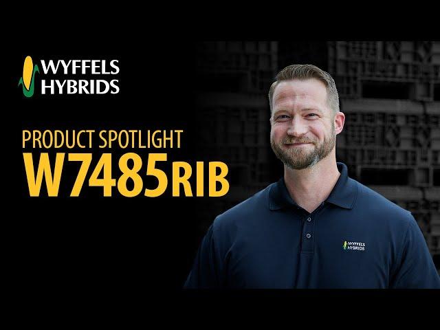 Product Spotlight - W7485RIB