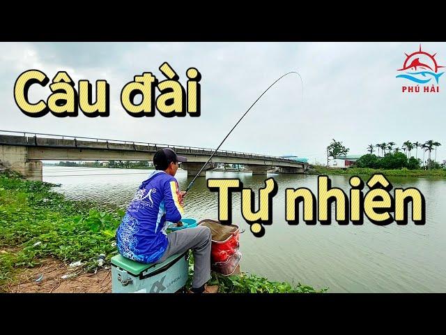 Câu đài tự nhiên. Chia sẻ bài mồi tổng hợp câu được nhiều loại cá | Phú Hải Fishing