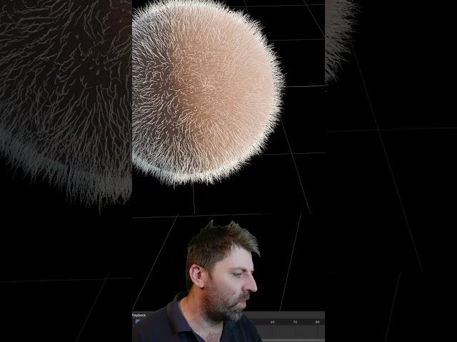 How to make Fur in Blender 4.1  - #Blender Quicktip 013