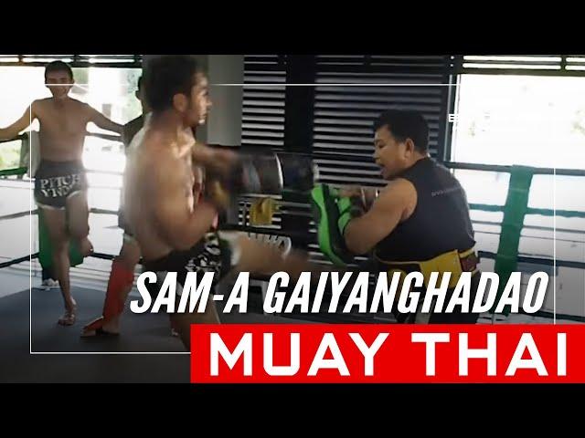 30 Roundhouse Kicks In 15 Seconds By Muay Thai Legend Sam-A Gaiyanghadao!