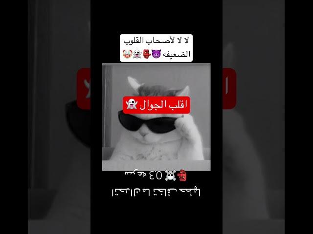 خفت اولا 