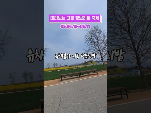 고창 청보리밭 축제 #여행 #국내여행 #travel  #고창가볼만한곳  #고창드라마촬영지 #고창여행 #고창