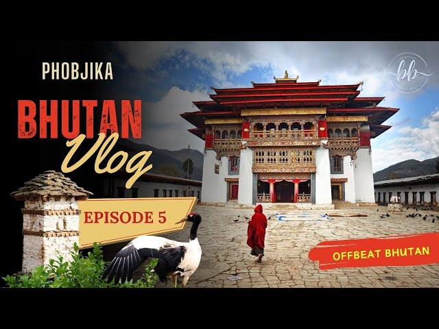 EP 5 : Phobjika Valley Day Trip | Gangtey Monastery | Black Necked Crane Centre | Farmhouse Lunch