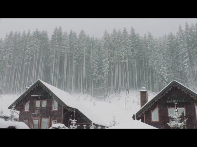 Zamieć śnieżna - silny wiatr szum wiatru i śnieg