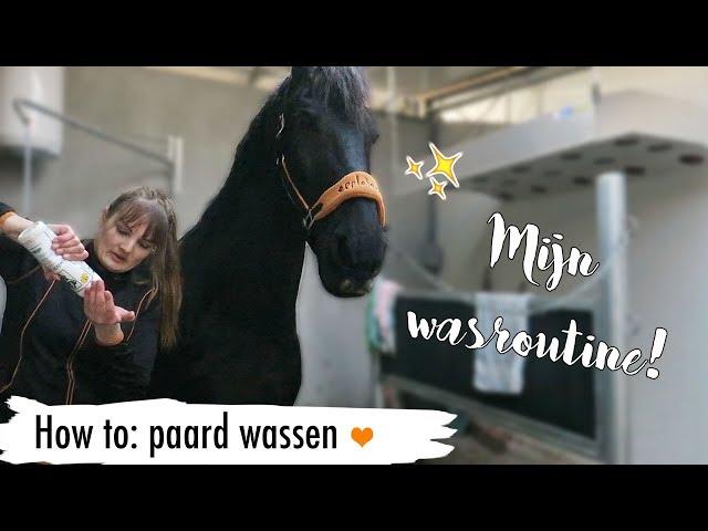 HOW TO: paard wassen | MIJN WASROUTINE | #36 | Epplejeck