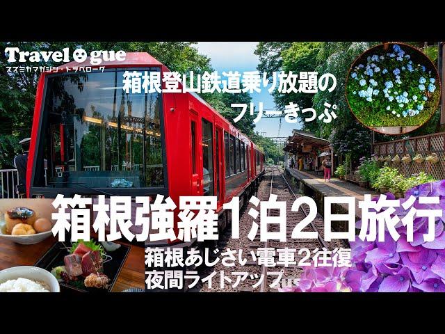 箱根旅行1泊2日ー箱根登山鉄道にフリーきっぷで乗り放題のモデルコースにどうぞ　あじさい電車＆ライトアップも２往復も収録