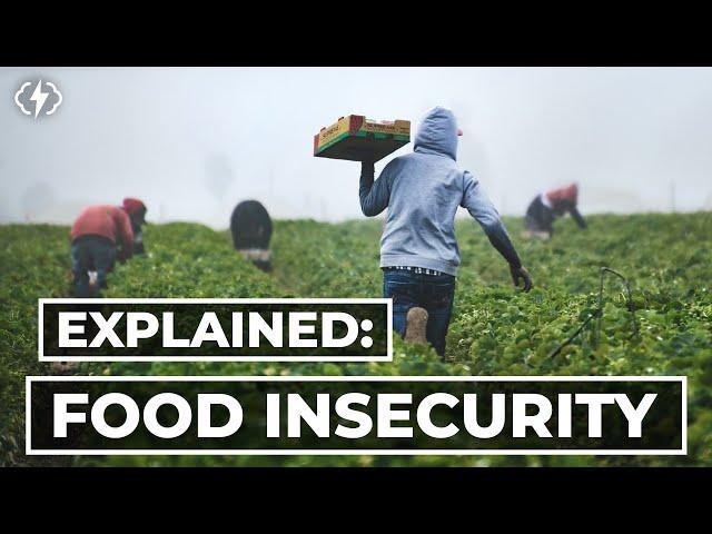 The Truth About Food Insecurity