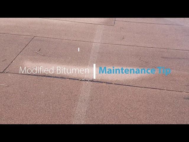 Flat Roof Maintenance - Modified Bitumen Blisters