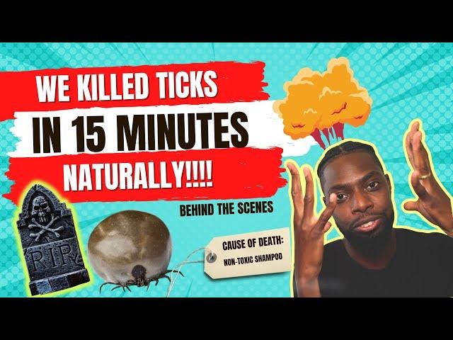 How to Kill Ticks on Dogs Naturally? We Killed Ticks in Less Than 15 Minutes! Behind The Scenes!