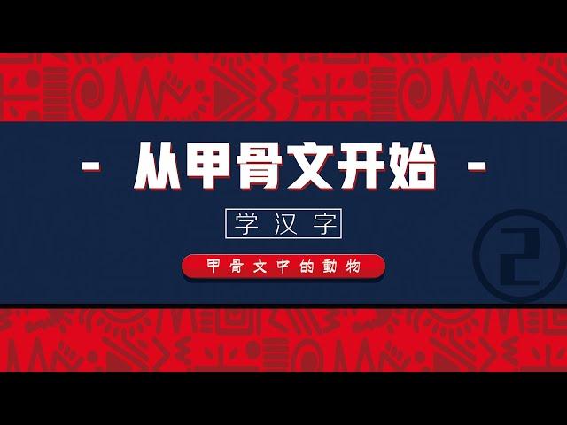 【从甲骨文开始学汉字】 甲骨文中的那些动物！Learn Chinese Characters from Oracle！