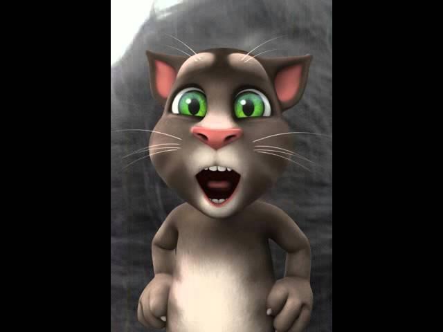 Gato  con  bota