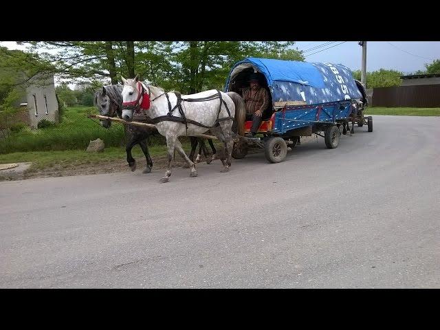 Vințu de Jos, tranzitat de ultimii nomazi din România .