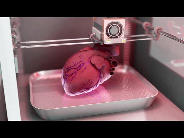 How medical 3D printing could solve the shortage of organ donations