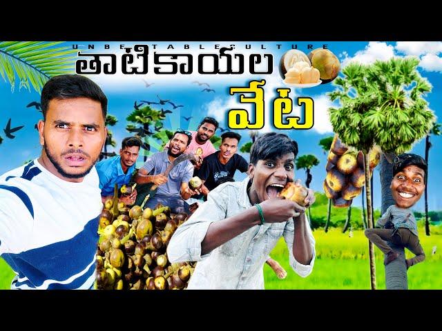 తాటికాయల వేట ️ ||UNBEATABLE CULTURE VLOG |VILLAGE COMEDY |THATIKAAYALU|UNBEATABLECULTURECOMEDY||