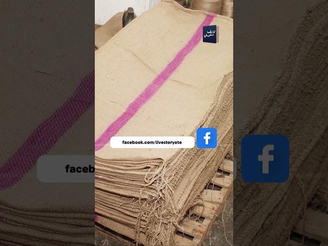 الصعايدة بيمشوا بشكاير فلوس!