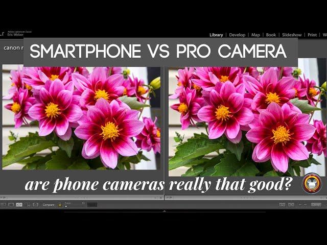 Smartphone vs Pro Camera