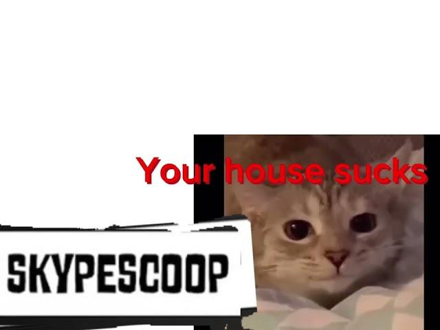 How saltyscoop was created