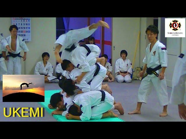 Shorinji Kempo (JAPAN) Ukemi (practice) with some tricks :)