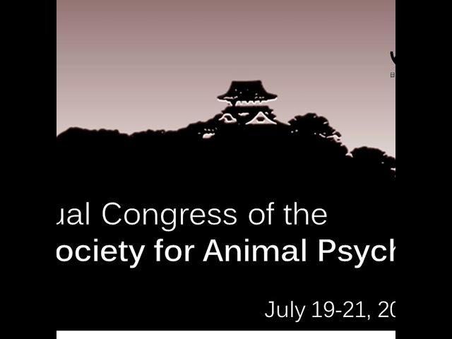 A conversation about lateralization of the animal brain with Dr. Maciej Trojan from the 74th Annu...