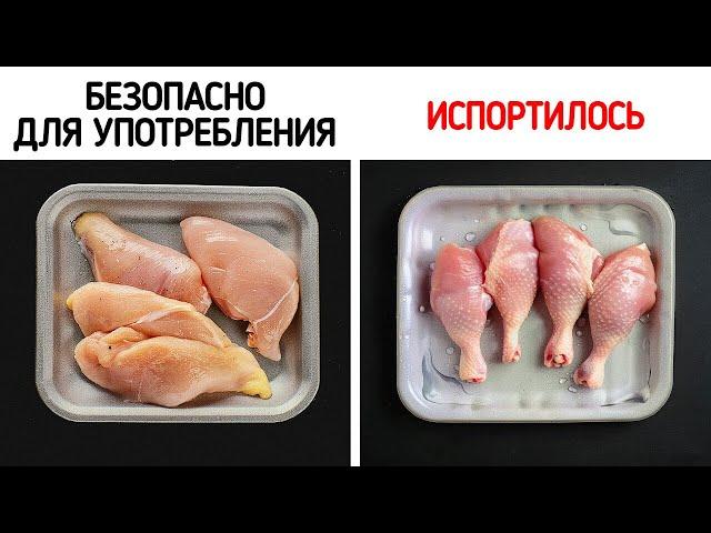 100 Советов для овладения искусством жизни