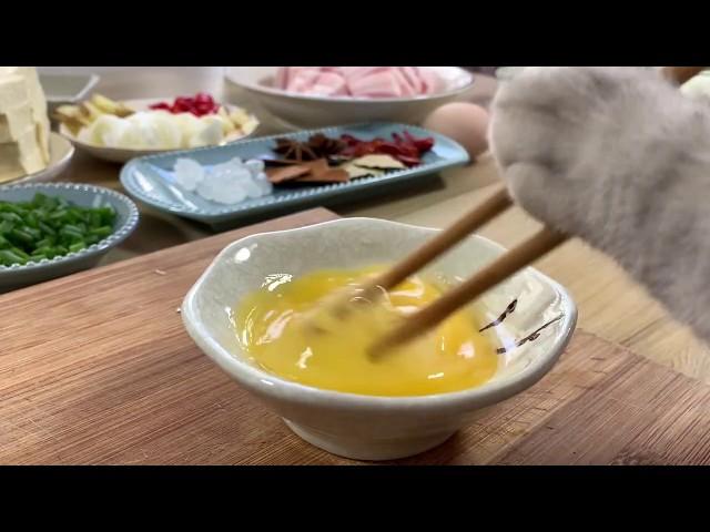 【Cooking Cat】After The Name Of Egg | 料理猫王以蛋之名