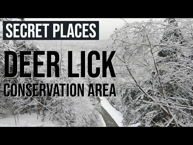 Secret Places: Deer Lick Conservation Area