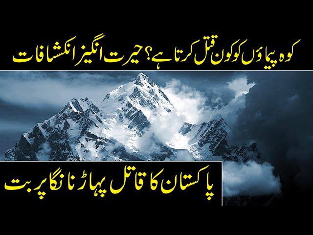 Nanga Parbat | Pakistan Killer Mountain | Fairy Meadows