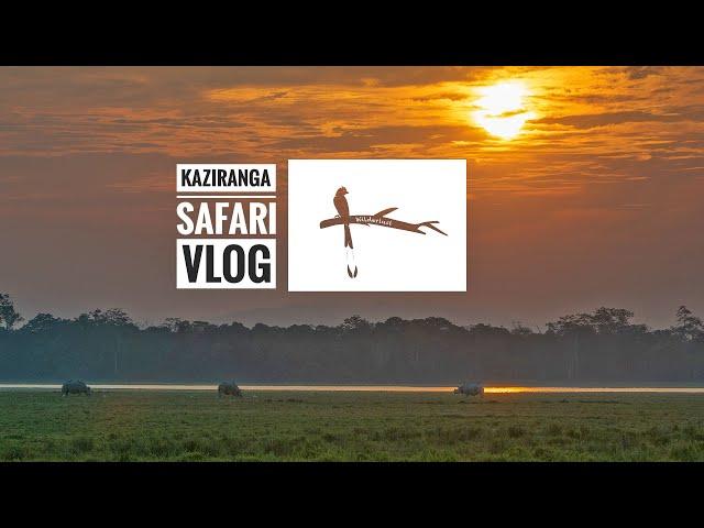 Kaziranga National Park Safari Video - Meet the Famous Four