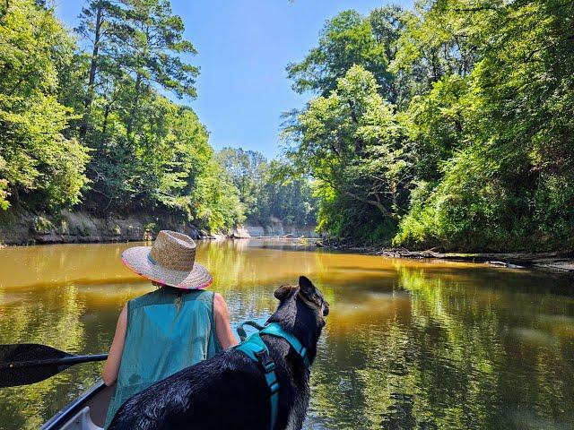 Bouie River Lower Blueway - Hattiesburg, MS