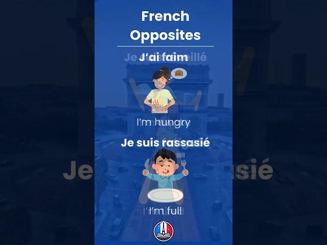 ESSENTIAL FRENCH PHRASES TO KNOW! A1 LEVEL FRENCH