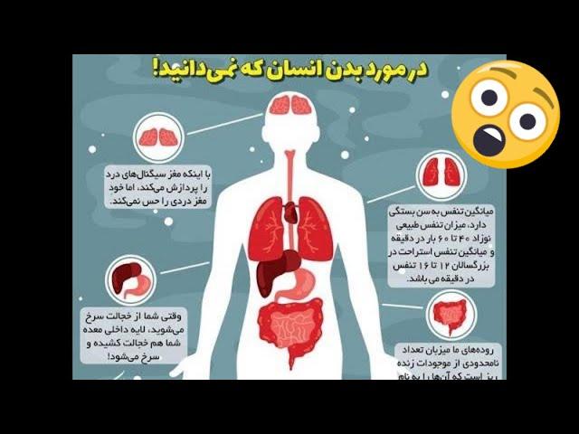 حقایق جالب و شگفت انگیز در مورد بدن انسان که شگفت‌زده‌تان می‌کند