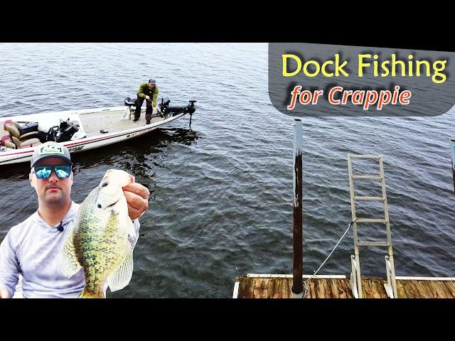 Best 3 Crappie Rods for Dock Fishing (Fall Fishing)