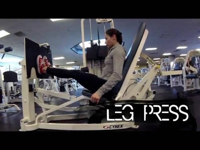 heavy Leg Day with Stephanie Marie