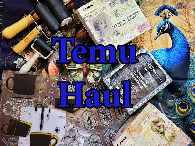 Temu Haul With Links