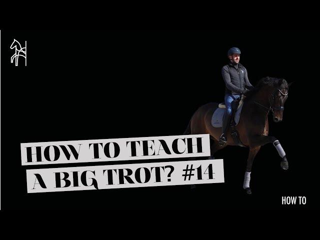 How To Teach Your Horse To Trot Big | Dressage Tutorial | Begijnhoeve | How To #14