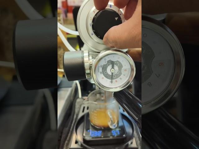 Gear Pump coffee machine