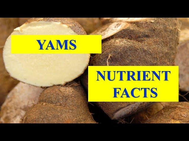 HEALTH BENEFITS AND NUTRIENT FACTS  OF  YAMS VEGETABLE