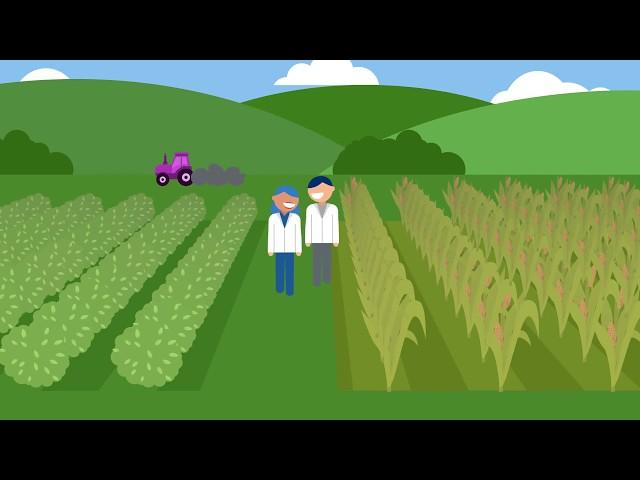 Agricultural Sector Research Efforts