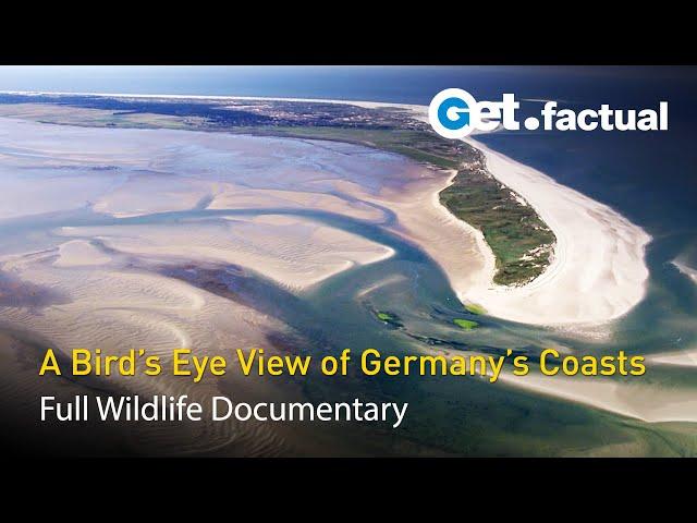 Wild Germany - The North and Baltic Sea Coastlines | Full Documentary, Part 1