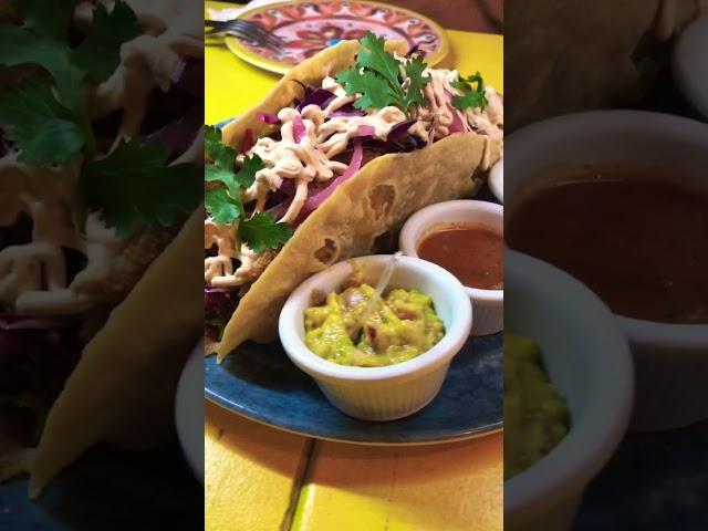 Comida Mexicana em Recife - Taco Gigante e super recheado