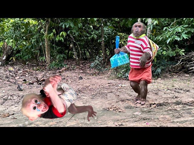 Poor baby monkey screams for hunger! ABU enlist go buy milk about take care monkey baby