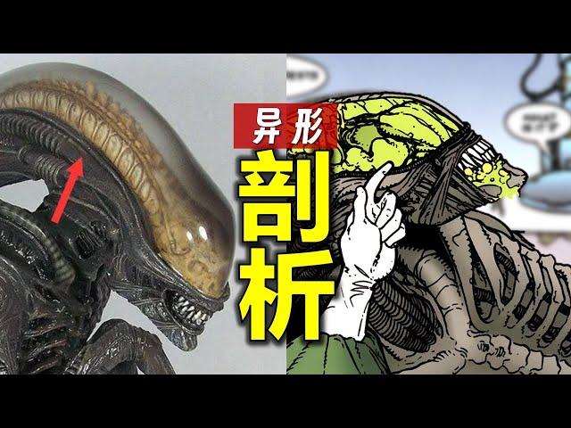 剖析“異形”：詳細瞭解這種生物的秘密，它到底完美嗎？