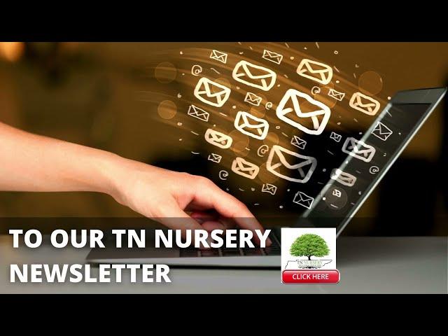 TN Nursery | Free Plants, Sales Offers, Subscribe Today