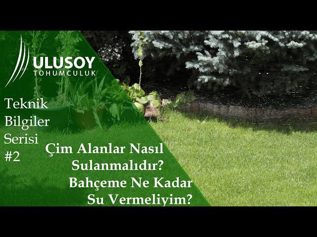 Çim Alanlar Nasıl Sulanmalı? Teknik Bilgiler Serisi #2