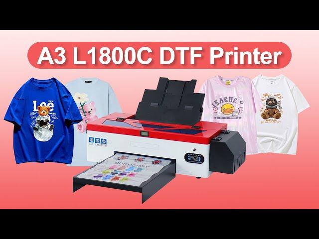 Colorsun A3 L1800C Dtf Printer T Shirt printing Machine DTF roll printing machine with pet film oven