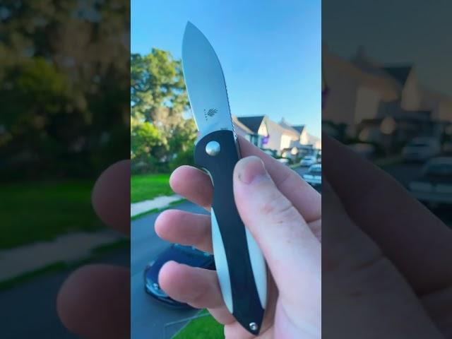 To Infinity and beyond Kizer infinity! #everydaycarry #knifestagram #blade #shorts