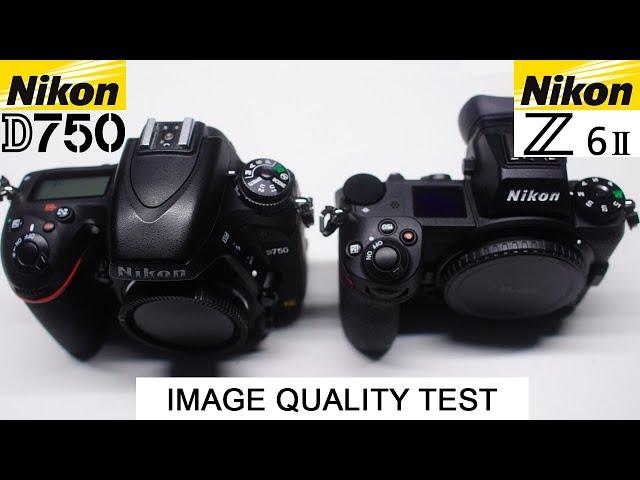 Nikon D750 VS Nikon Z6II - DSLR vs Mirrorless - Image Quality Test