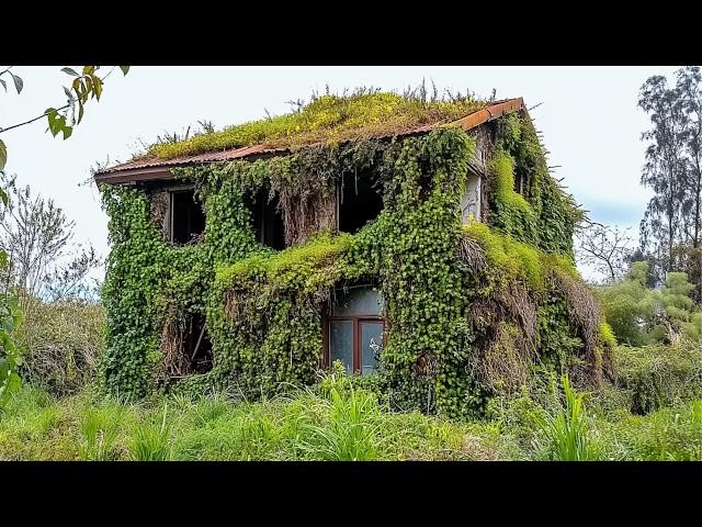 Three Men Clean 70-Year-Old Buried House and Give It a Second Life for Free | by @Cleantheoldhouse